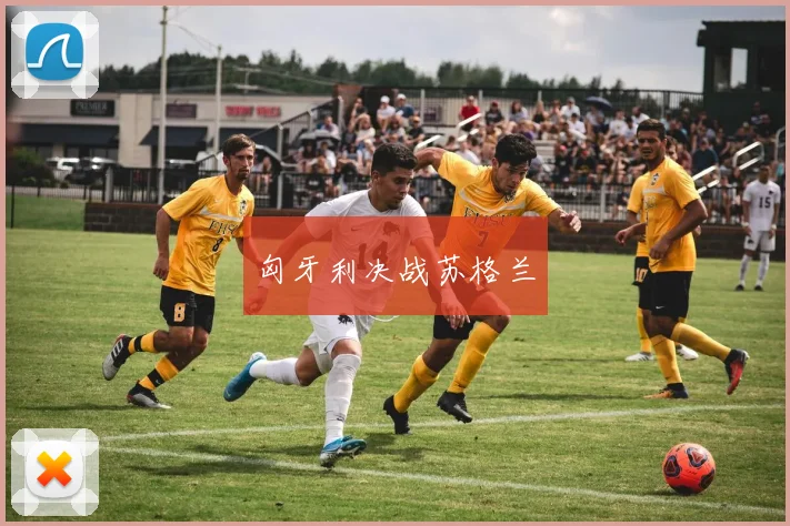匈牙利决战苏格兰