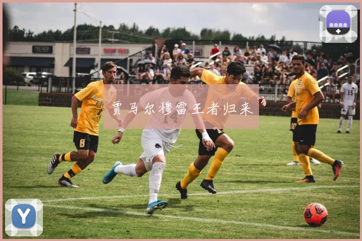 贾马尔穆雷王者归来