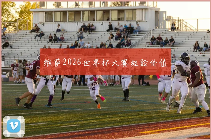 维萨2026世界杯大赛经验价值