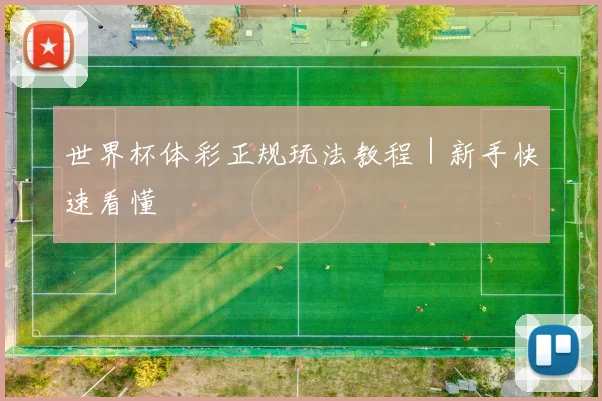 世界杯体彩正规玩法教程|新手快速看懂