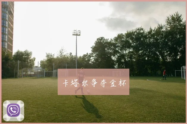 卡塔尔争夺金杯