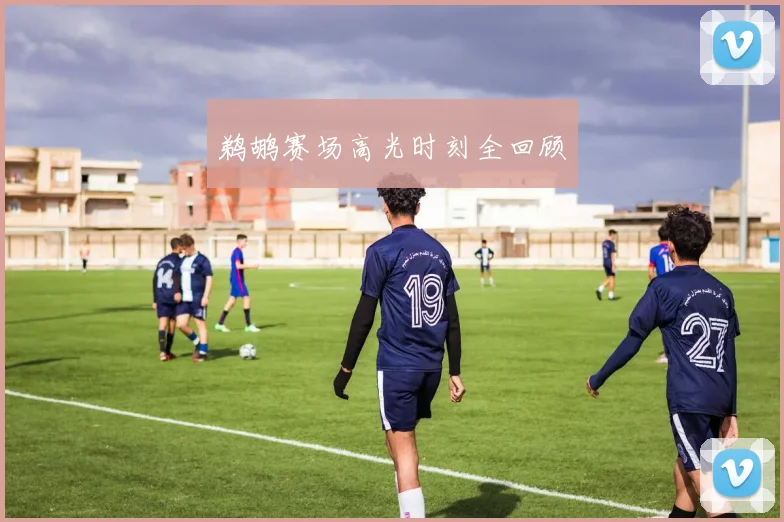 鹈鹕赛场高光时刻全回顾