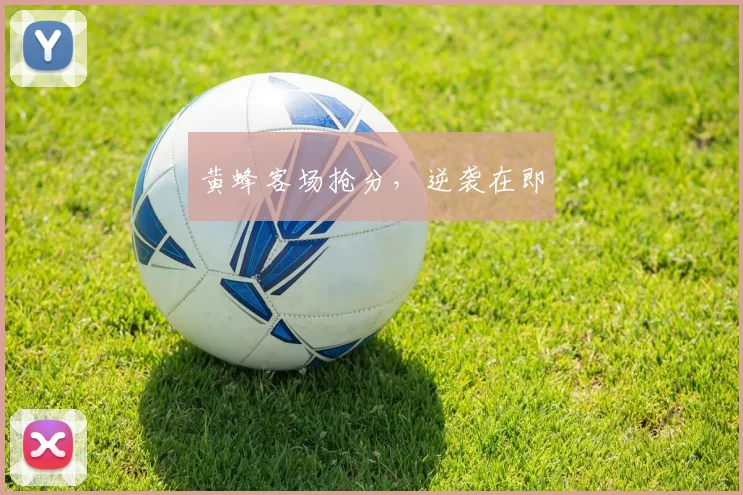 黄蜂客场抢分，逆袭在即