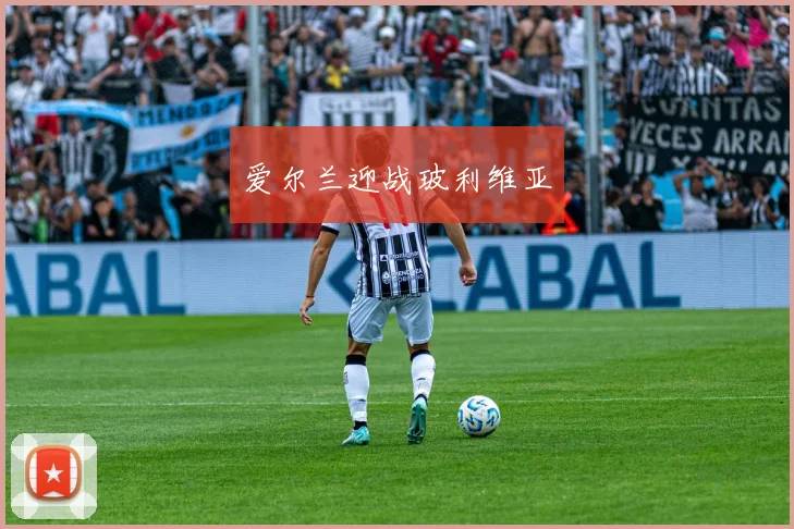 爱尔兰迎战玻利维亚