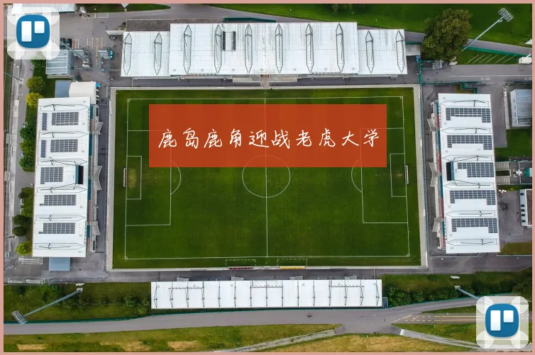 鹿岛鹿角迎战老虎大学