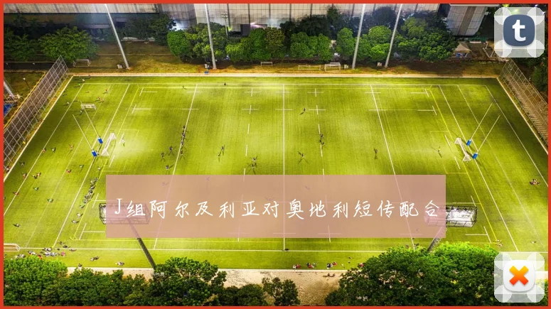 J组阿尔及利亚对奥地利短传配合