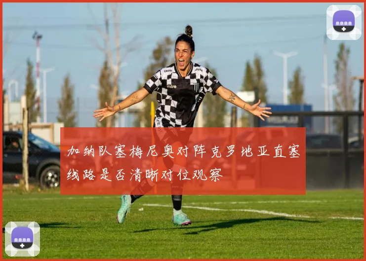 加纳队塞梅尼奥对阵克罗地亚直塞线路是否清晰对位观察